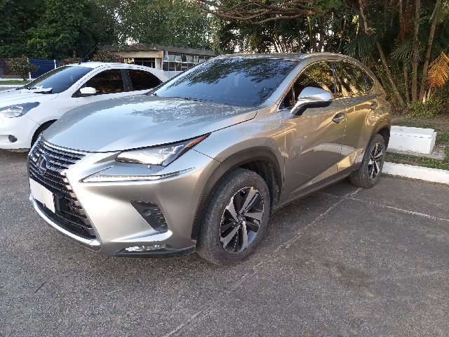 LEXUS NX300H LUXURY 2018/2019